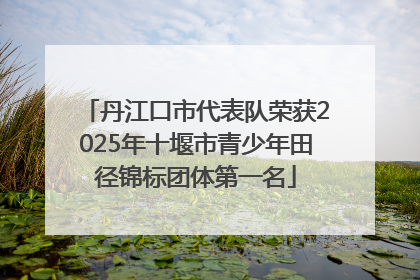 丹江口市代表队荣获2025年十堰市青少年田径锦标团体第一名