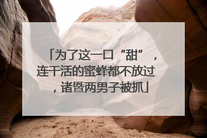 为了这一口“甜”，连干活的蜜蜂都不放过，诸暨两男子被抓