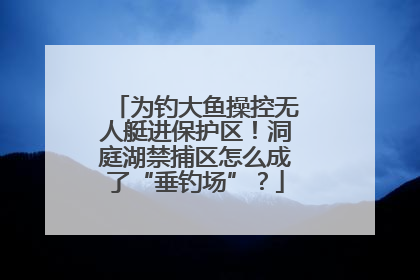 为钓大鱼操控无人艇进保护区！洞庭湖禁捕区怎么成了“垂钓场”？