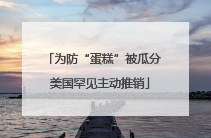 为防“蛋糕”被瓜分 美国罕见主动推销