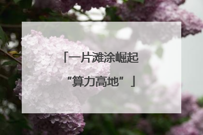 一片滩涂崛起“算力高地”