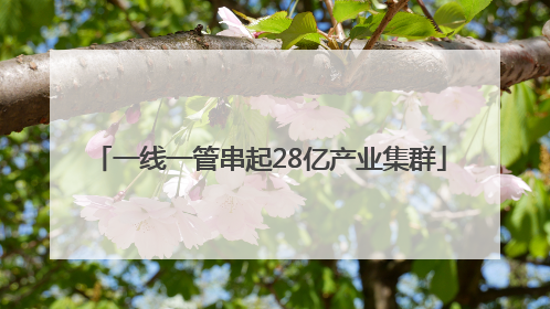 一线一管串起28亿产业集群
