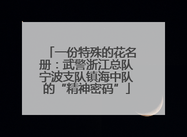 一份特殊的花名册：武警浙江总队宁波支队镇海中队的“精神密码”