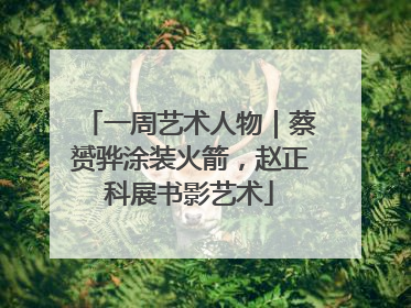 一周艺术人物｜蔡赟骅涂装火箭，赵正科展书影艺术