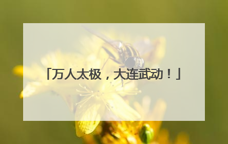 万人太极，大连武动！