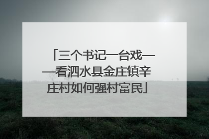 三个书记一台戏——看泗水县金庄镇辛庄村如何强村富民