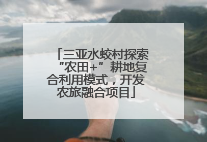 三亚水蛟村探索“农田+”耕地复合利用模式，开发农旅融合项目