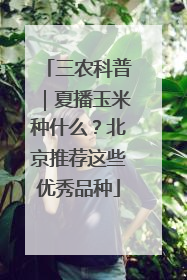 三农科普｜夏播玉米种什么？北京推荐这些优秀品种