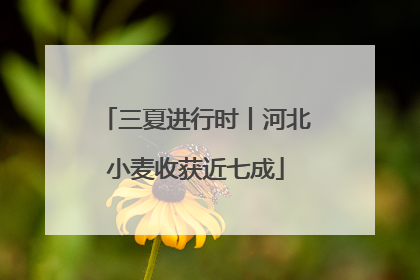 三夏进行时丨河北小麦收获近七成
