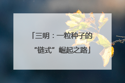 三明：一粒种子的“链式”崛起之路
