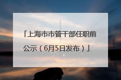 上海市市管干部任职前公示（6月5日发布）