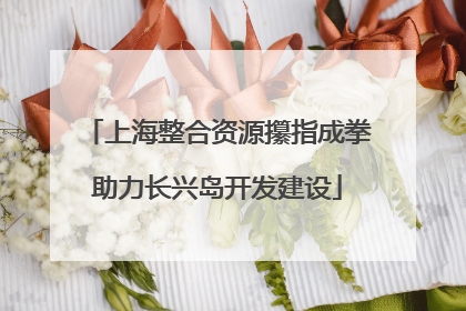 上海整合资源攥指成拳助力长兴岛开发建设
