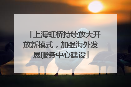 上海虹桥持续放大开放新模式，加强海外发展服务中心建设
