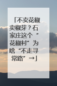 不卖花椒卖椒芽？石家庄这个“花椒村”为啥“不走寻常路”→
