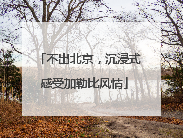 不出北京，沉浸式感受加勒比风情