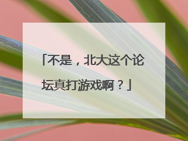 不是，北大这个论坛真打游戏啊？