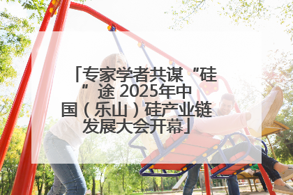 专家学者共谋“硅”途 2025年中国（乐山）硅产业链发展大会开幕