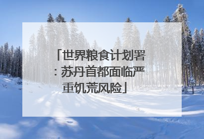 世界粮食计划署：苏丹首都面临严重饥荒风险