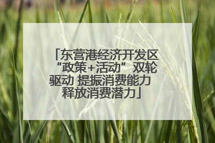 东营港经济开发区“政策+活动”双轮驱动 提振消费能力 释放消费潜力