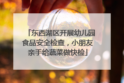 东西湖区开展幼儿园食品安全检查，小朋友亲手给蔬菜做快检