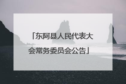东阿县人民代表大会常务委员会公告