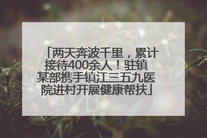 两天奔波千里，累计接待400余人！驻镇某部携手镇江三五九医院进村开展健康帮扶