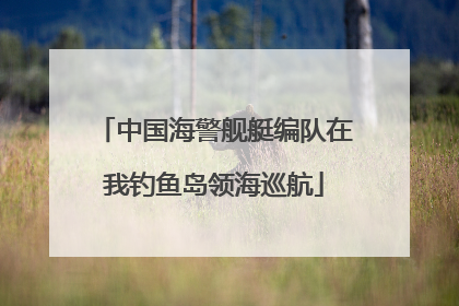 中国海警舰艇编队在我钓鱼岛领海巡航
