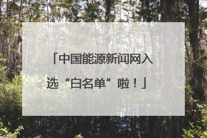 中国能源新闻网入选“白名单”啦！