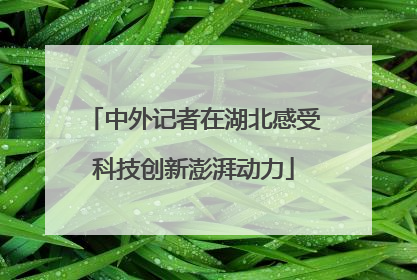 中外记者在湖北感受科技创新澎湃动力