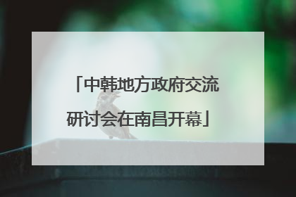中韩地方政府交流研讨会在南昌开幕