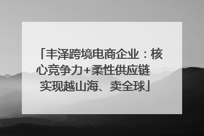 丰泽跨境电商企业：核心竞争力+柔性供应链 实现越山海、卖全球