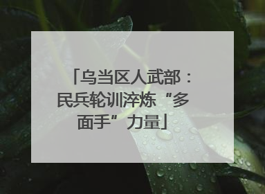 乌当区人武部：民兵轮训淬炼“多面手”力量