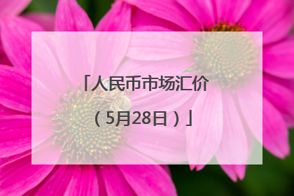人民币市场汇价（5月28日）