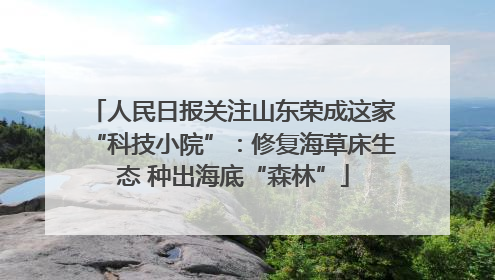 人民日报关注山东荣成这家“科技小院”：修复海草床生态 种出海底“森林”