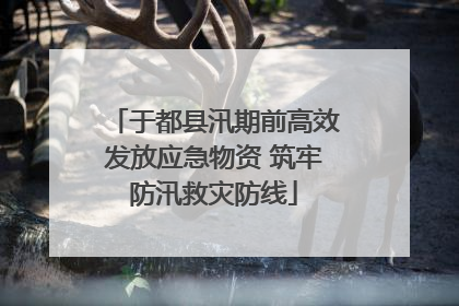 于都县汛期前高效发放应急物资 筑牢防汛救灾防线