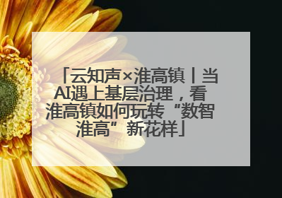 云知声×淮高镇丨当AI遇上基层治理，看淮高镇如何玩转“数智淮高”新花样