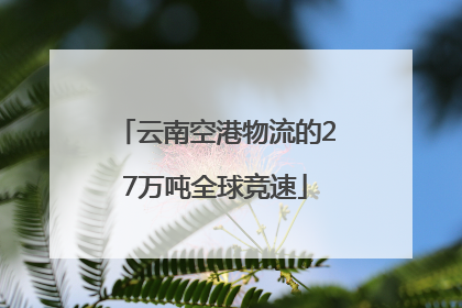 云南空港物流的27万吨全球竞速