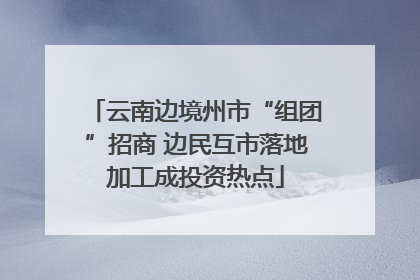 云南边境州市“组团”招商 边民互市落地加工成投资热点