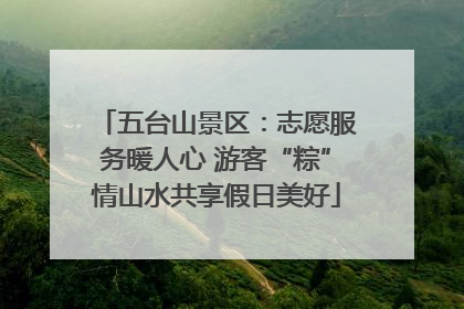 五台山景区：志愿服务暖人心 游客“粽”情山水共享假日美好
