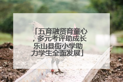 五育融贤育童心，多元考评助成长 乐山县街小学助力学生全面发展