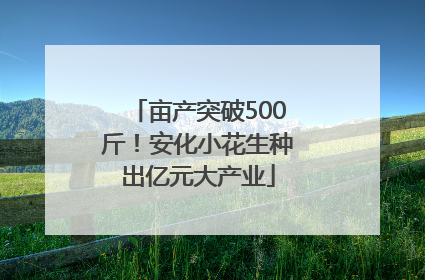 亩产突破500斤！安化小花生种出亿元大产业