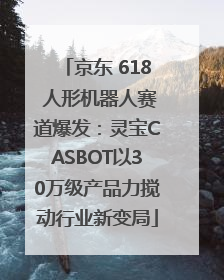 京东 618 人形机器人赛道爆发：灵宝CASBOT以30万级产品力搅动行业新变局