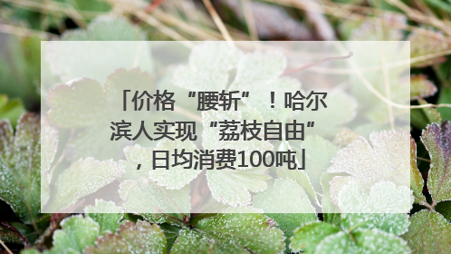 价格“腰斩”！哈尔滨人实现“荔枝自由”，日均消费100吨