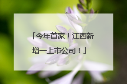 今年首家！江西新增一上市公司！