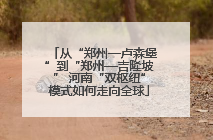 从“郑州—卢森堡”到“郑州—吉隆坡” 河南“双枢纽”模式如何走向全球