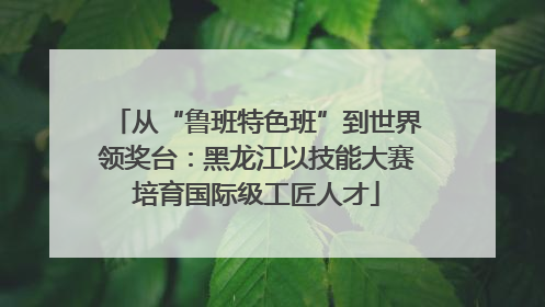 从“鲁班特色班”到世界领奖台：黑龙江以技能大赛培育国际级工匠人才
