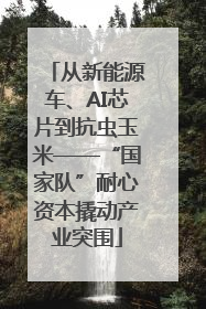 从新能源车、AI芯片到抗虫玉米——“国家队”耐心资本撬动产业突围