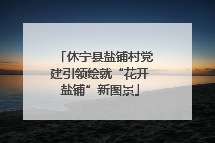 休宁县盐铺村党建引领绘就“花开盐铺”新图景