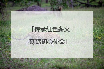 传承红色薪火 砥砺初心使命