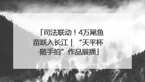 司法联动！4万尾鱼苗跃入长江｜“天平杯·随手拍”作品展播